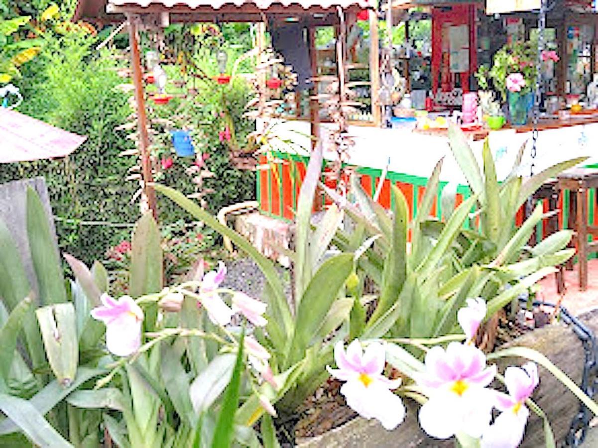 Hostal Estrella De Agua Salento Eksteriør bilde