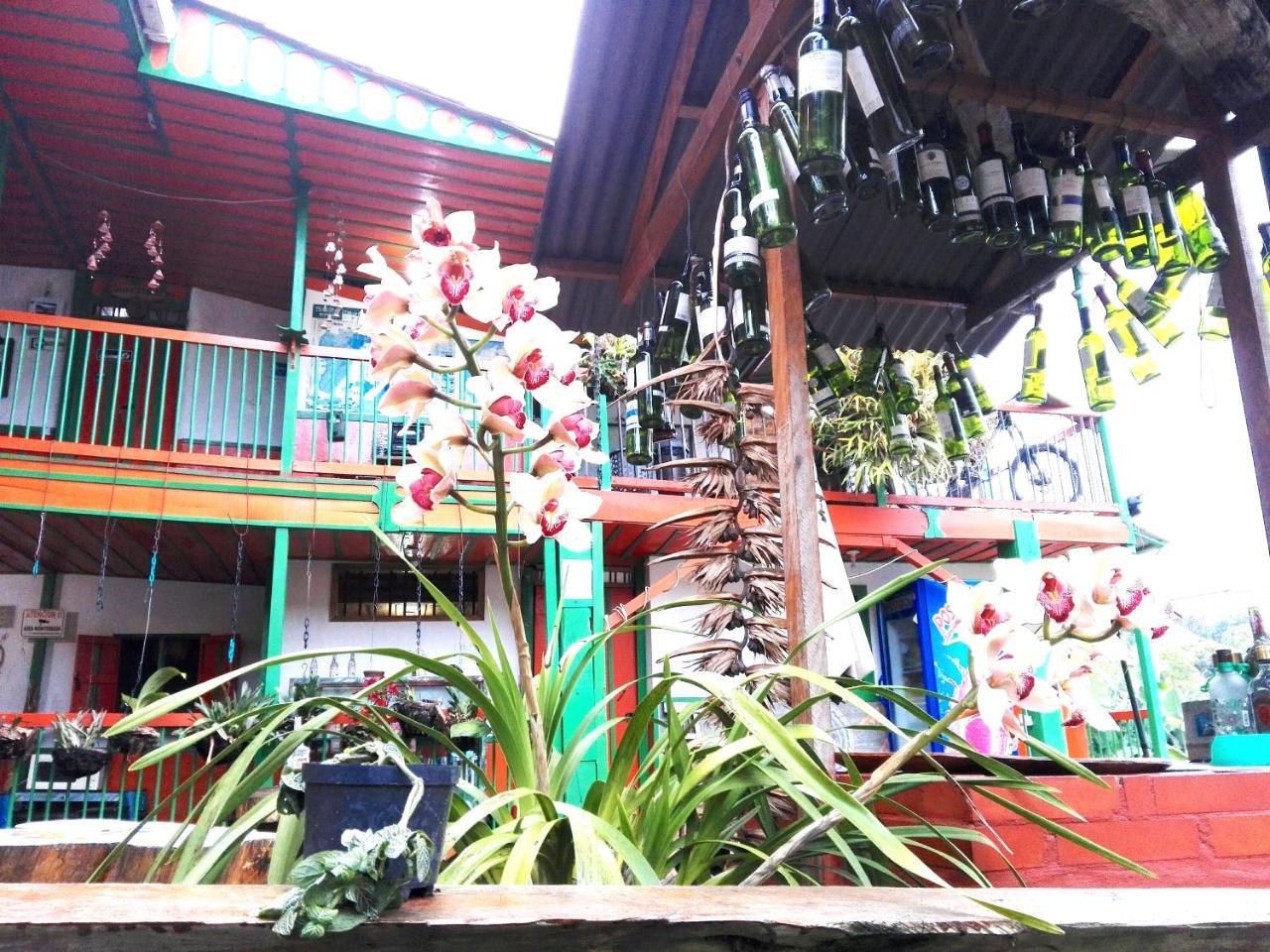 Hostal Estrella De Agua Salento Eksteriør bilde